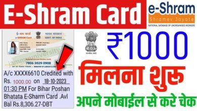 E Shram Card Balance Check Number