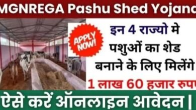 MGNREGA Pashu Shed Scheme