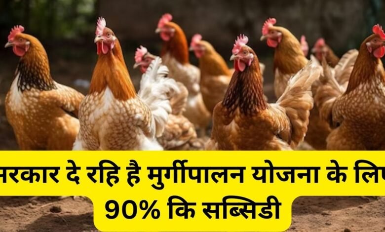 Poultry Farm Scheme 2024