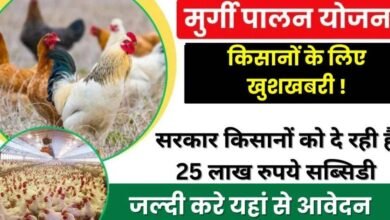 Poultry Farming Apply 2024