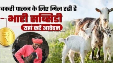 Subsidy on goat farming 